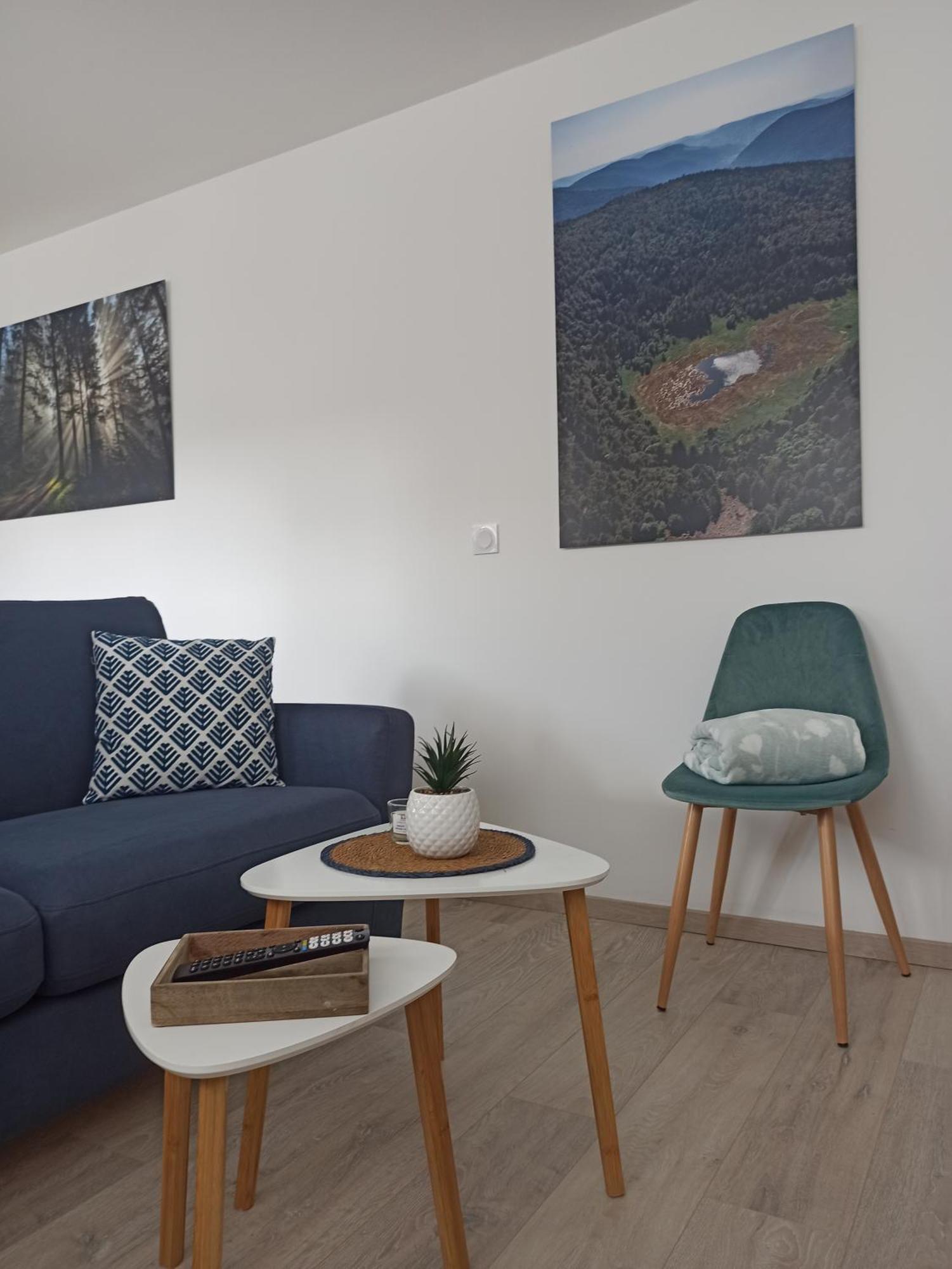 Chalet Kelly, Centre Ville / Jacuzzi / Sauna Gérardmer Exterior foto